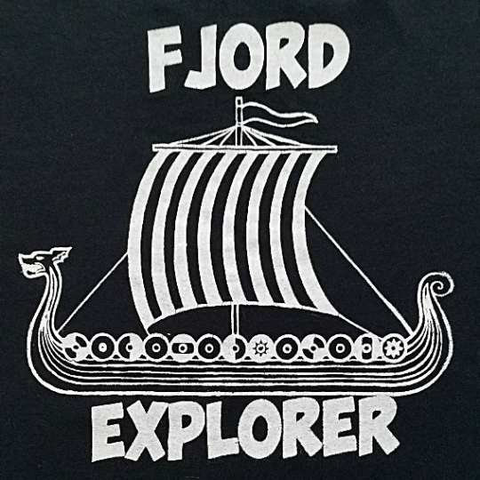 Fjord Explorer Viking Shirt // Youth Sizes Available
